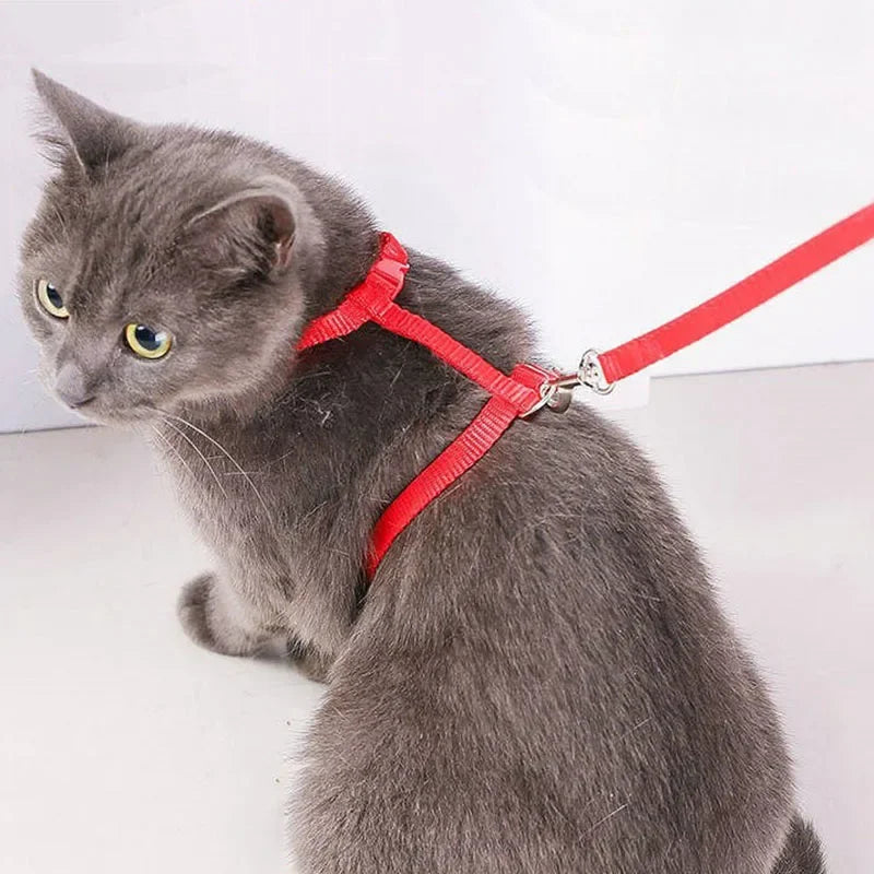 Lightweight Adjustable Cat Harness and Leash Set - Escape Proof Kitten Walking Strap for Small Animals - ZOOMNSTORE