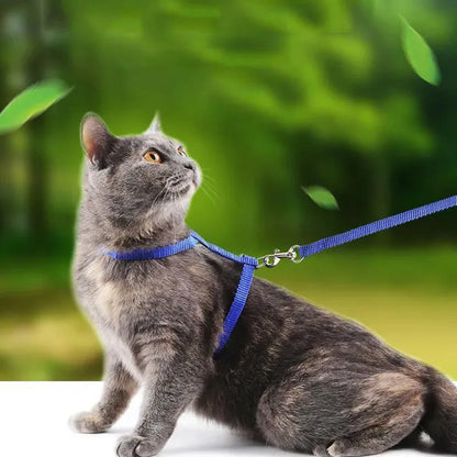 Lightweight Adjustable Cat Harness and Leash Set - Escape Proof Kitten Walking Strap for Small Animals - ZOOMNSTORE