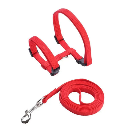 Lightweight Adjustable Cat Harness and Leash Set - Escape Proof Kitten Walking Strap for Small Animals - ZOOMNSTORE