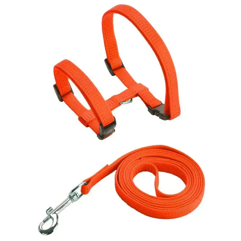 Lightweight Adjustable Cat Harness and Leash Set - Escape Proof Kitten Walking Strap for Small Animals - ZOOMNSTORE