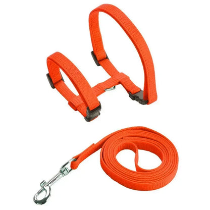 Lightweight Adjustable Cat Harness and Leash Set - Escape Proof Kitten Walking Strap for Small Animals - ZOOMNSTORE