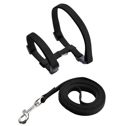Lightweight Adjustable Cat Harness and Leash Set - Escape Proof Kitten Walking Strap for Small Animals - ZOOMNSTORE