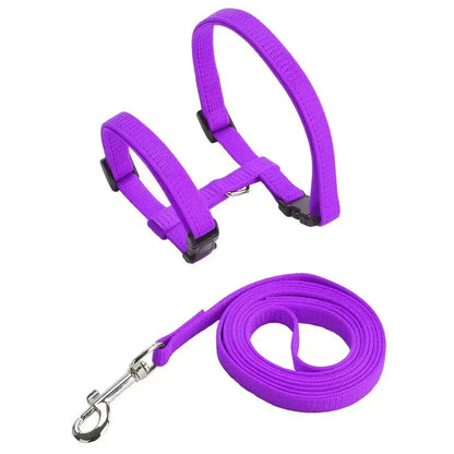 Lightweight Adjustable Cat Harness and Leash Set - Escape Proof Kitten Walking Strap for Small Animals - ZOOMNSTORE