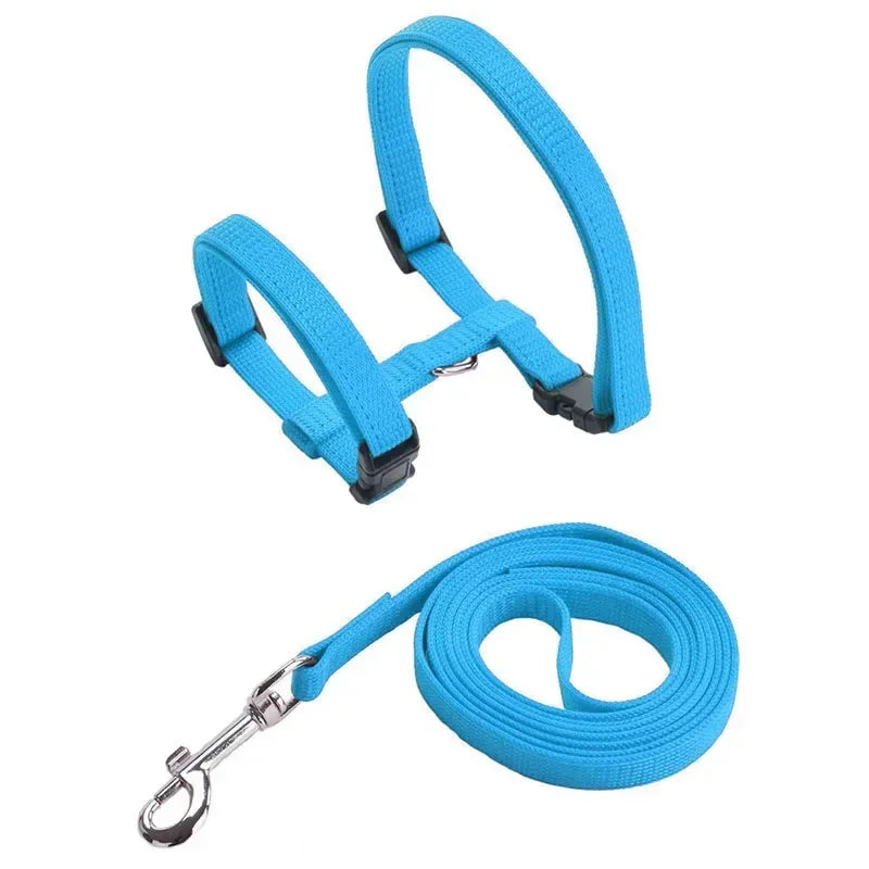 Lightweight Adjustable Cat Harness and Leash Set - Escape Proof Kitten Walking Strap for Small Animals - ZOOMNSTORE
