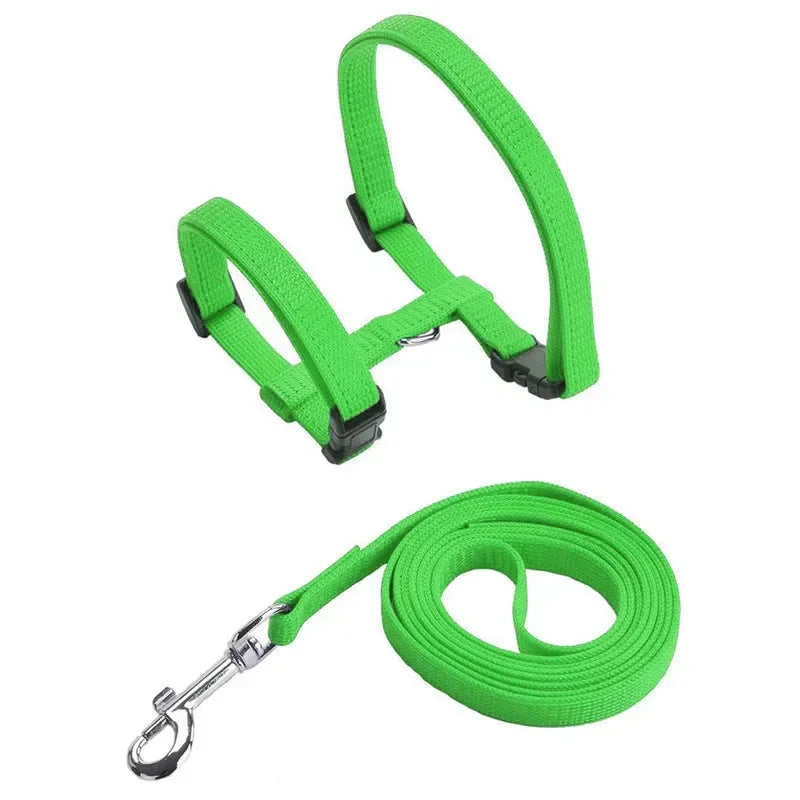 Lightweight Adjustable Cat Harness and Leash Set - Escape Proof Kitten Walking Strap for Small Animals - ZOOMNSTORE