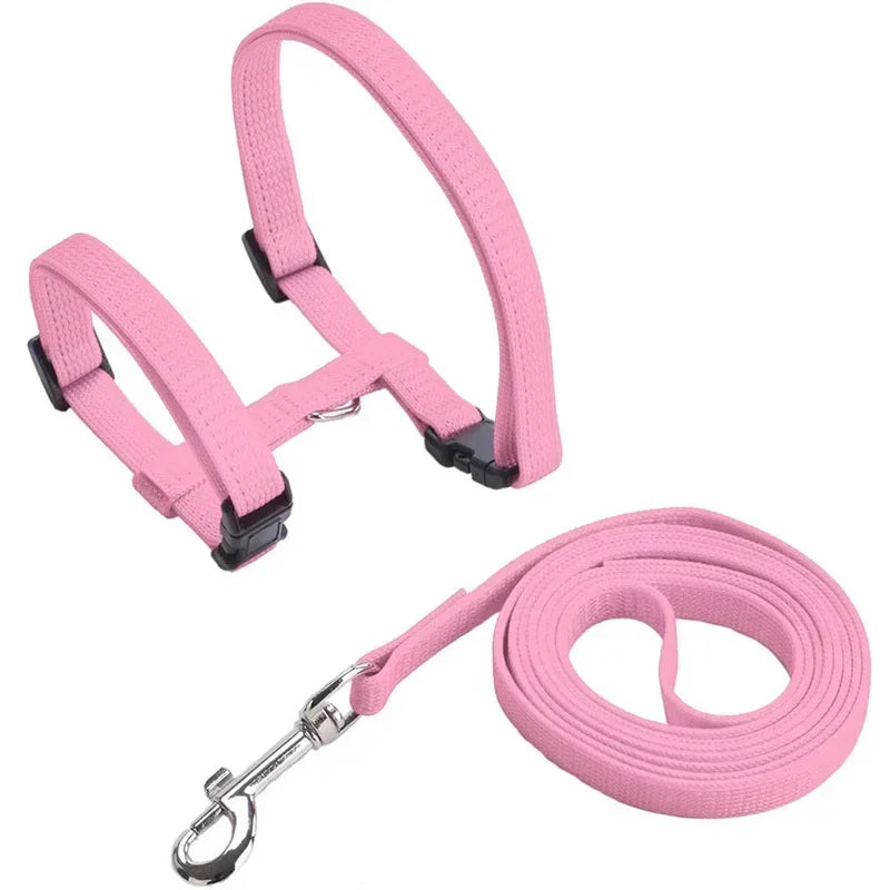Lightweight Adjustable Cat Harness and Leash Set - Escape Proof Kitten Walking Strap for Small Animals - ZOOMNSTORE