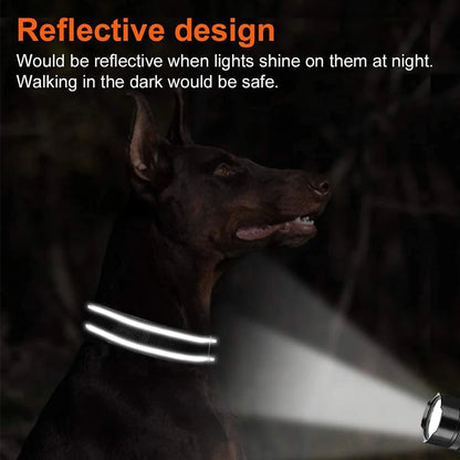 Personalized Adjustable Reflective Dog Collar with Engraved ID Tag - Luminous Nylon Design - ZOOMNSTORE