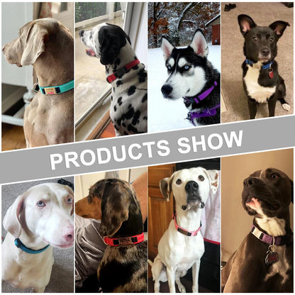 Personalized Adjustable Reflective Dog Collar with Engraved ID Tag - Luminous Nylon Design - ZOOMNSTORE