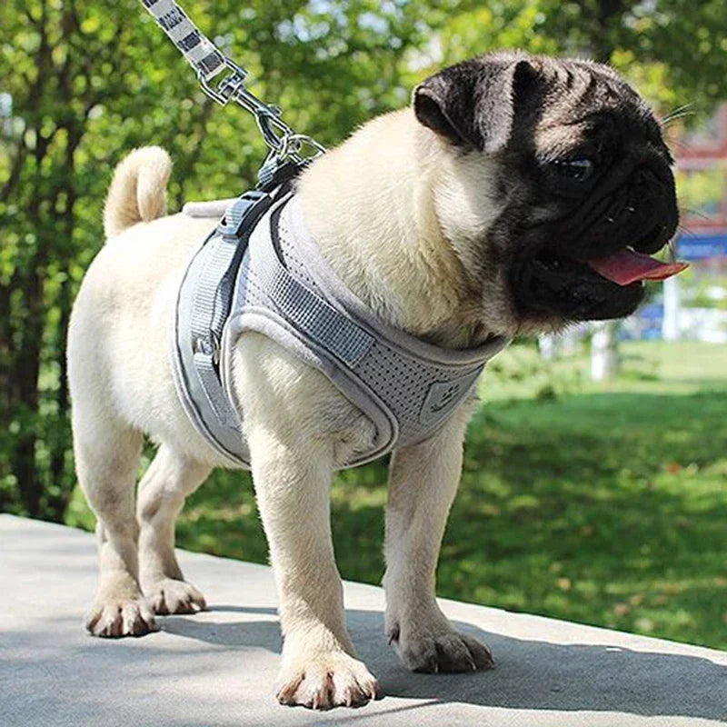 Adjustable Mesh Dog Harness with Leash - XSSMLXL Sizes - ZOOMNSTORE