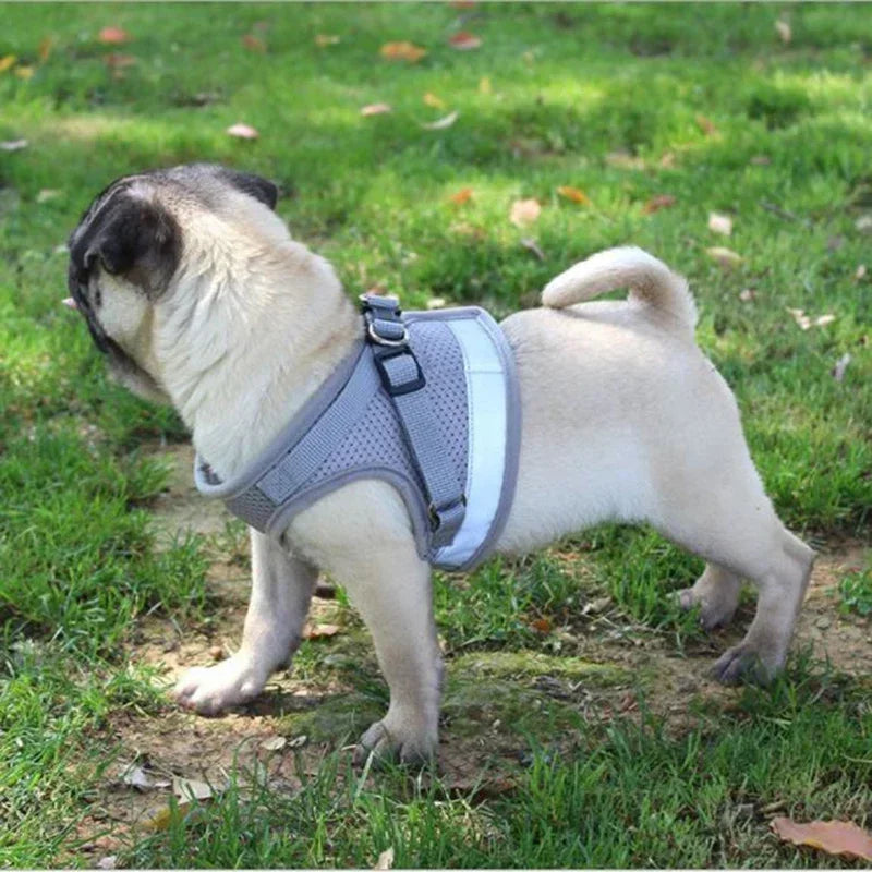 Adjustable Mesh Dog Harness with Leash - XSSMLXL Sizes - ZOOMNSTORE