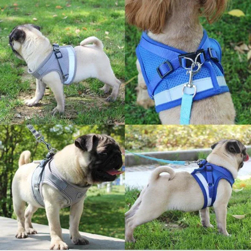 Adjustable Mesh Dog Harness with Leash - XSSMLXL Sizes - ZOOMNSTORE
