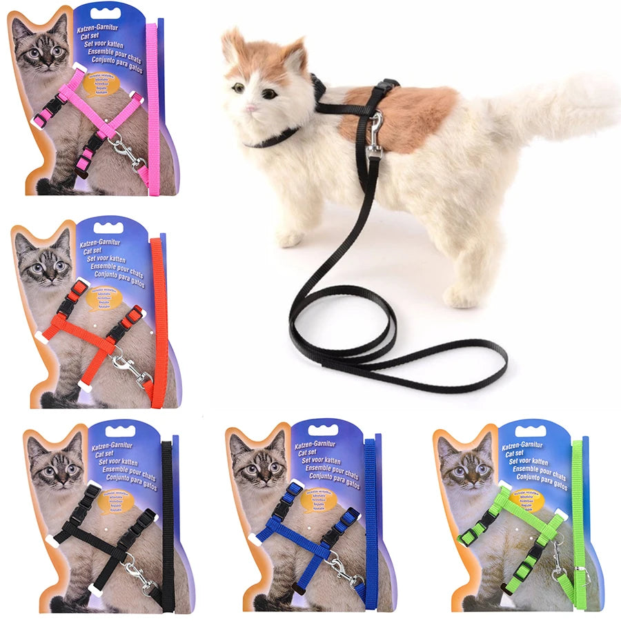 Adjustable Cat Collar and Harness Set - Cozy Nylon Leash for Cats and Kittens - ZOOMNSTORE