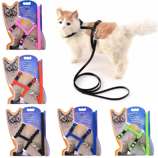 Adjustable Cat Collar and Harness Set - Cozy Nylon Leash for Cats and Kittens - ZOOMNSTORE
