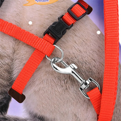 Adjustable Cat Collar and Harness Set - Cozy Nylon Leash for Cats and Kittens - ZOOMNSTORE