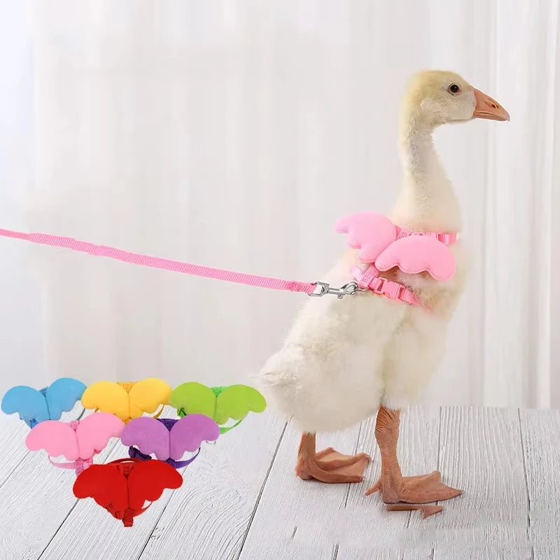 Adjustable Cute Duck Wing Pet Harness  Leash for Dogs and Cats - ZOOMNSTORE