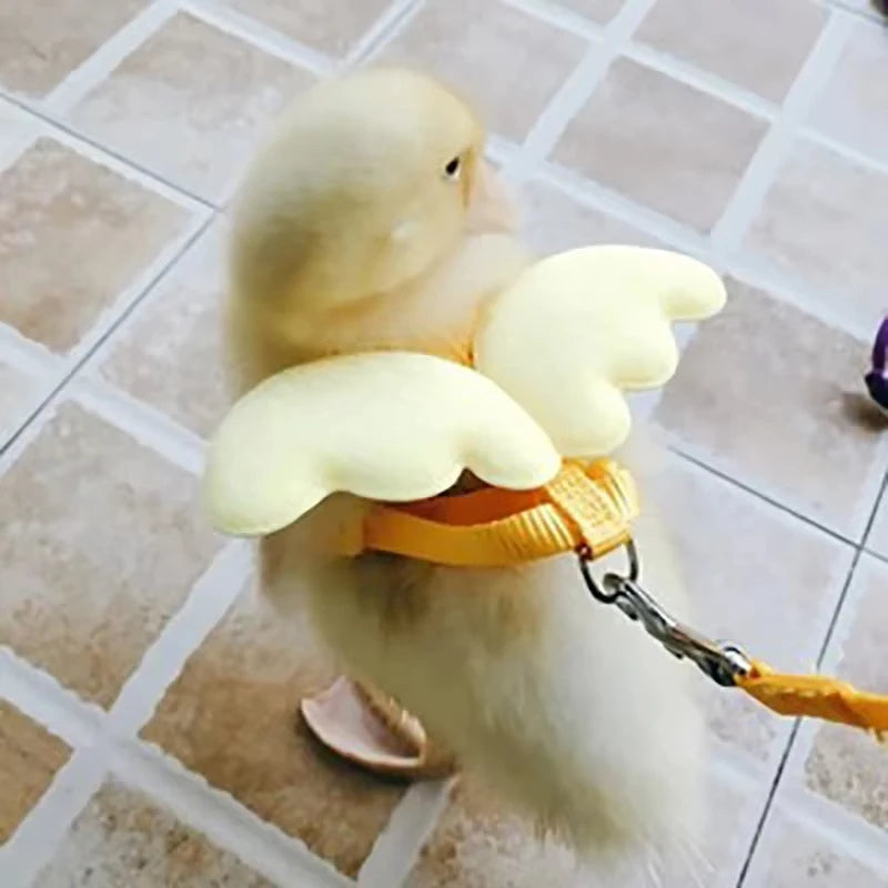 Adjustable Cute Duck Wing Pet Harness  Leash for Dogs and Cats - ZOOMNSTORE