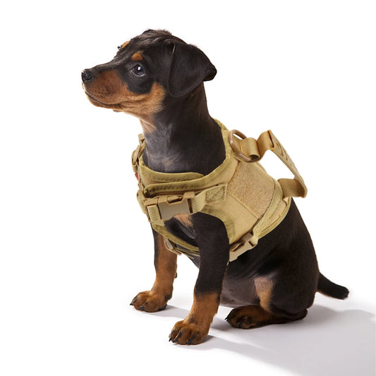 Adjustable Tactical Puppy Harness  Leash for Small Dogs and Cats - Military-Style Vest for Training and Walking - ZOOMNSTORE