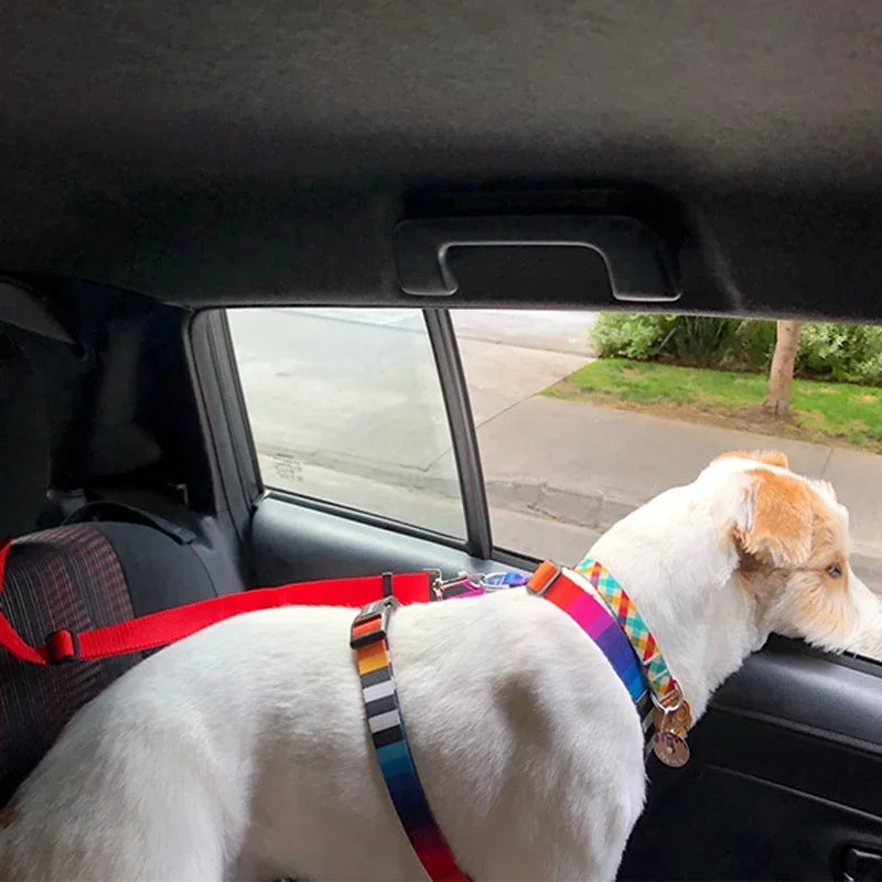 Adjustable Two-in-One Pet Car Seat Belt  Leash - Nylon Dog Safety Harness - ZOOMNSTORE
