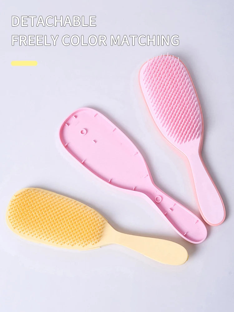 Anti Static Hair Comb – Wet Dry Hair Brush & Portable Scalp Massage Tool - ZOOMNSTORE