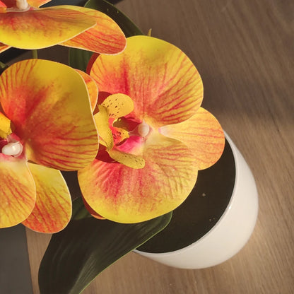 Artificial Butterfly Orchid Plant - Potted Home  Office Decoration - ZOOMNSTORE