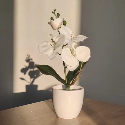 Artificial Butterfly Orchid Plant - Potted Home  Office Decoration - ZOOMNSTORE