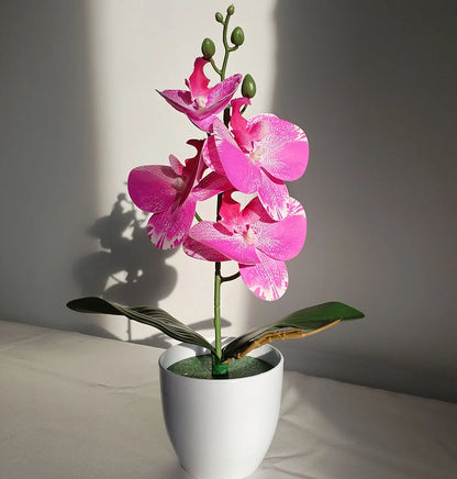 Artificial Butterfly Orchid Plant - Potted Home  Office Decoration - ZOOMNSTORE