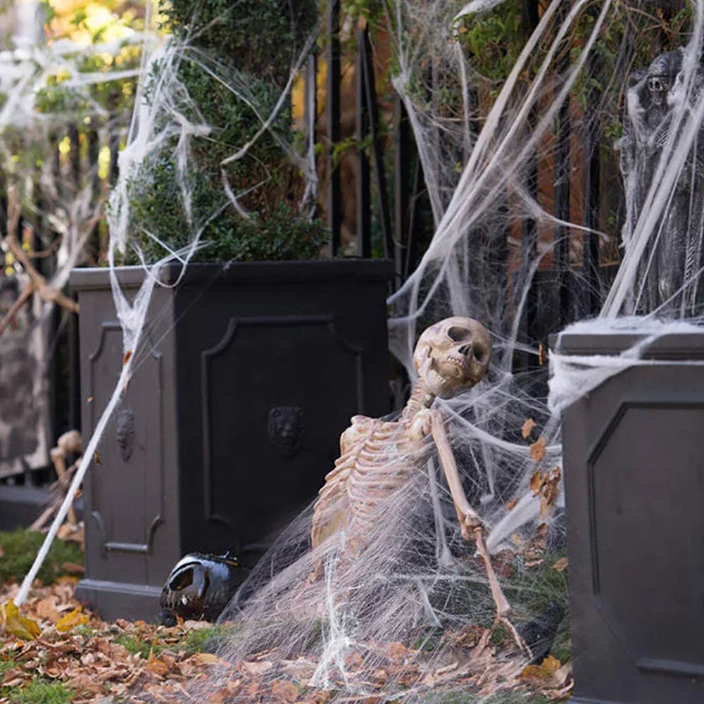 Artificial Spider Web with Spider - Stretchy Halloween Decoration for Haunted House Decor - ZOOMNSTORE
