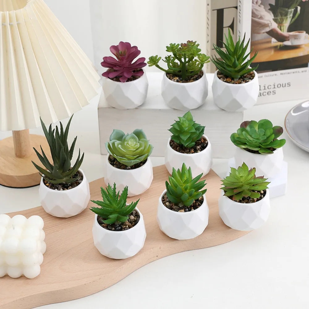 Artificial Succulent Bonsai Plants - Mini Evergreen Cactus Decor - ZOOMNSTORE