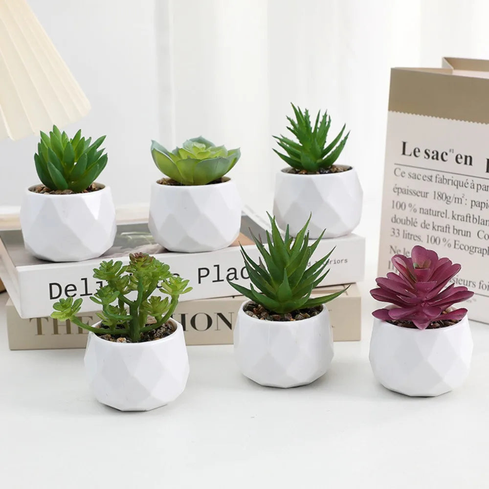Artificial Succulent Bonsai Plants - Mini Evergreen Cactus Decor - ZOOMNSTORE
