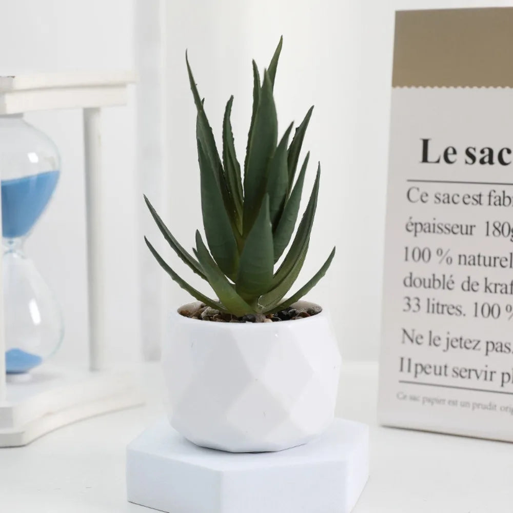 Artificial Succulent Bonsai Plants - Mini Evergreen Cactus Decor - ZOOMNSTORE