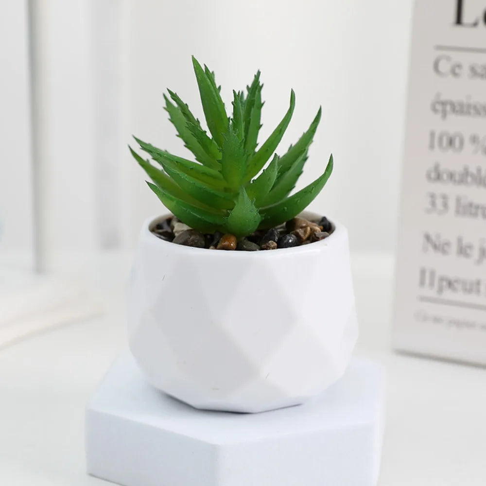 Artificial Succulent Bonsai Plants - Mini Evergreen Cactus Decor - ZOOMNSTORE