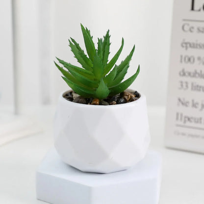 Artificial Succulent Bonsai Plants - Mini Evergreen Cactus Decor - ZOOMNSTORE
