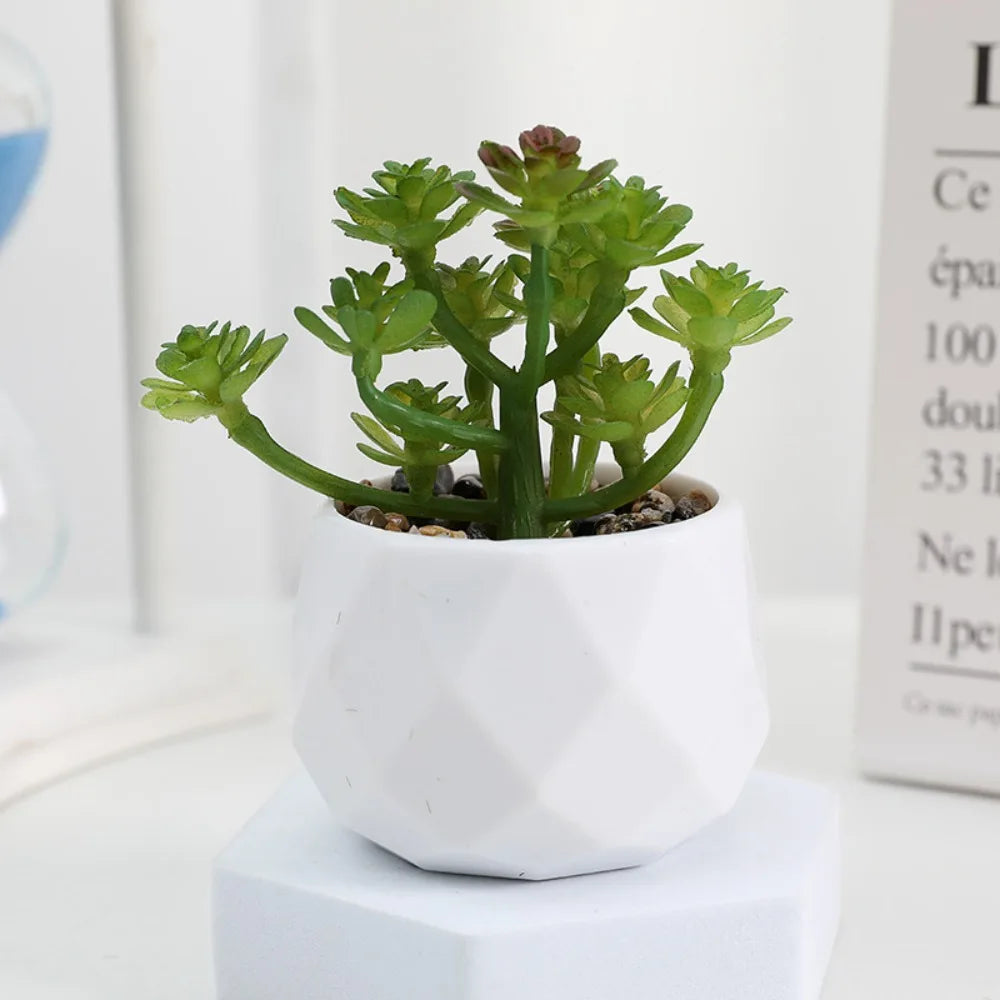 Artificial Succulent Bonsai Plants - Mini Evergreen Cactus Decor - ZOOMNSTORE