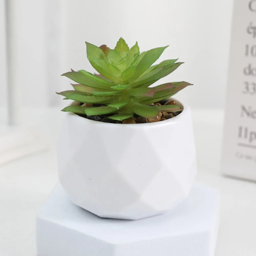 Artificial Succulent Bonsai Plants - Mini Evergreen Cactus Decor - ZOOMNSTORE