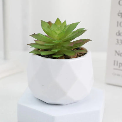 Artificial Succulent Bonsai Plants - Mini Evergreen Cactus Decor - ZOOMNSTORE