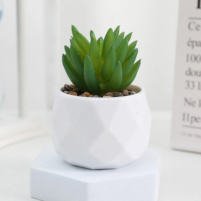 Artificial Succulent Bonsai Plants - Mini Evergreen Cactus Decor - ZOOMNSTORE