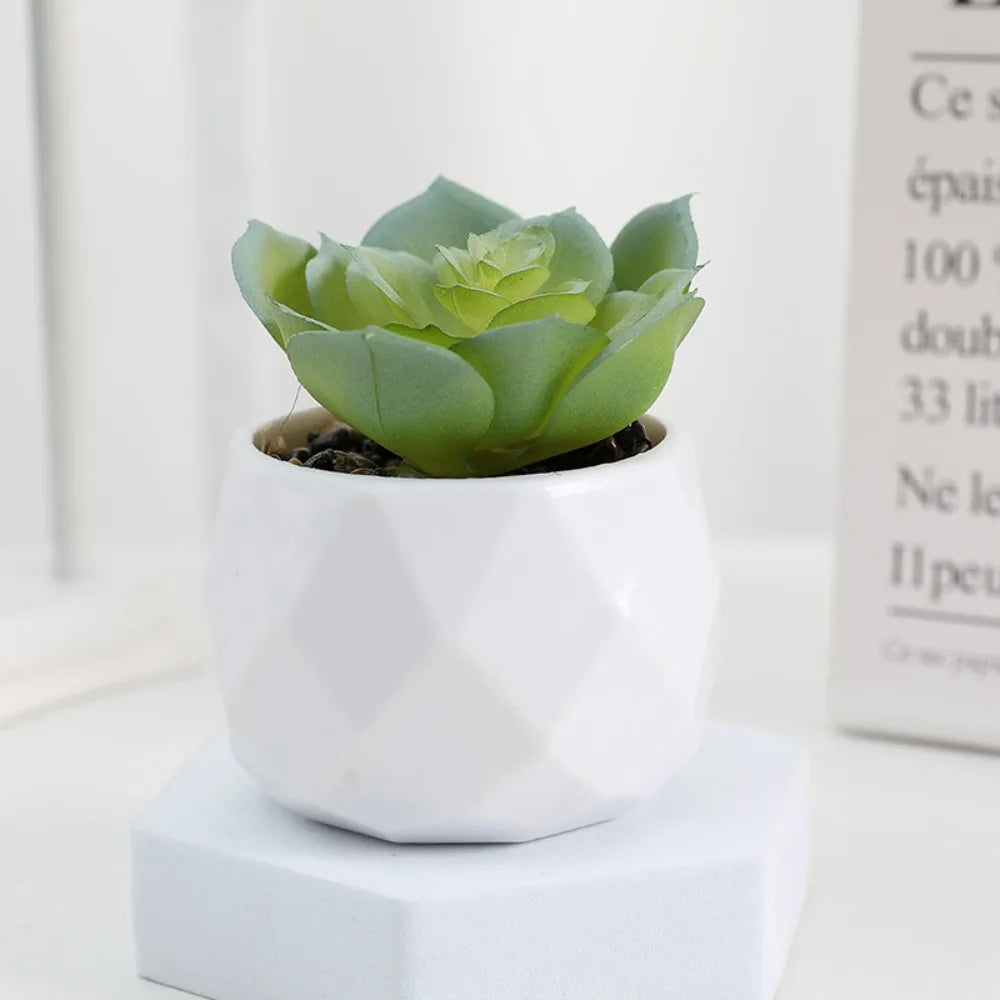 Artificial Succulent Bonsai Plants - Mini Evergreen Cactus Decor - ZOOMNSTORE