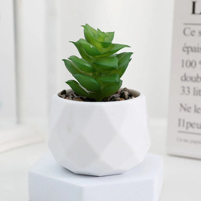 Artificial Succulent Bonsai Plants - Mini Evergreen Cactus Decor - ZOOMNSTORE