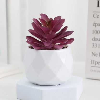 Artificial Succulent Bonsai Plants - Mini Evergreen Cactus Decor - ZOOMNSTORE