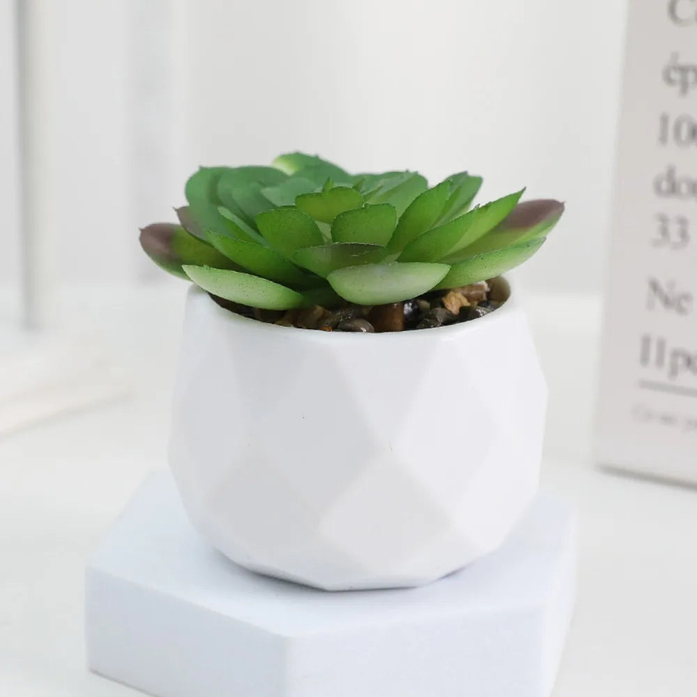 Artificial Succulent Bonsai Plants - Mini Evergreen Cactus Decor - ZOOMNSTORE