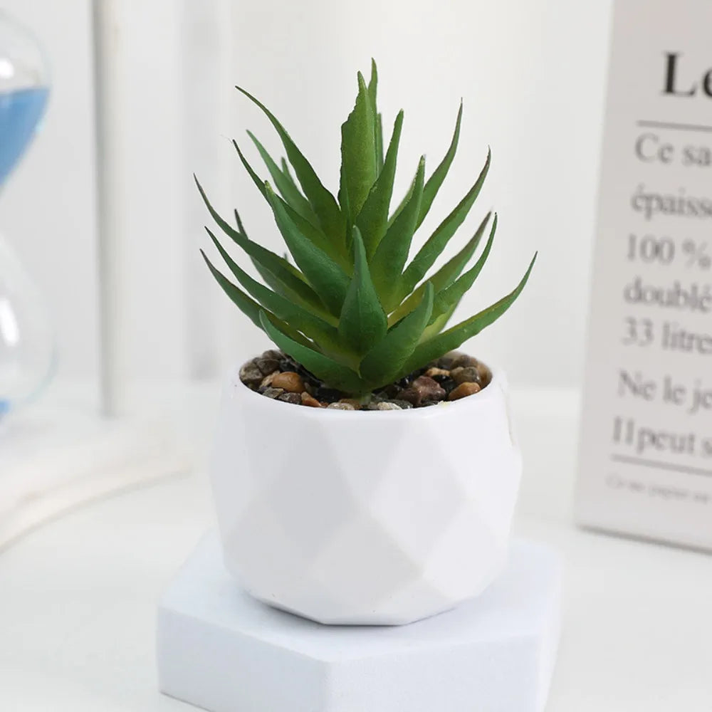 Artificial Succulent Bonsai Plants - Mini Evergreen Cactus Decor - ZOOMNSTORE