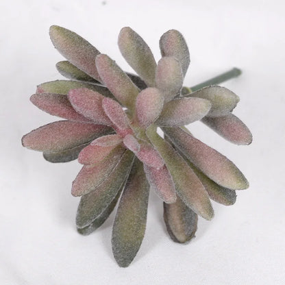 Artificial Succulent Cactus - Indoor Potted Plant Decor for Office  Garden - ZOOMNSTORE