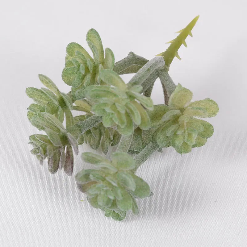Artificial Succulent Cactus - Indoor Potted Plant Decor for Office  Garden - ZOOMNSTORE