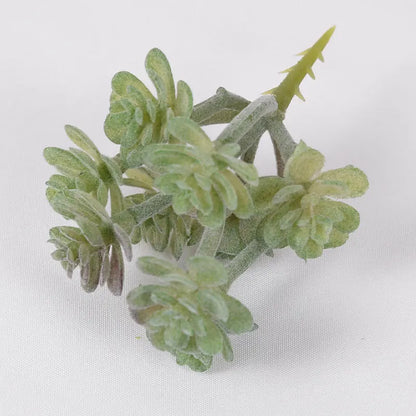 Artificial Succulent Cactus - Indoor Potted Plant Decor for Office  Garden - ZOOMNSTORE
