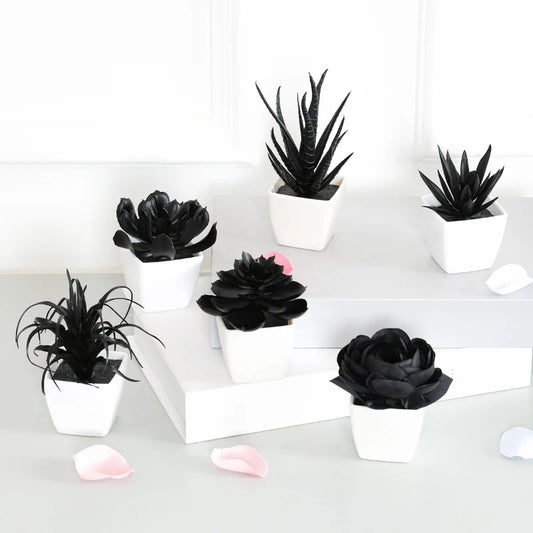 Black Artificial Succulents - 6PCS Small Potted Plants for Home  Office Decor - ZOOMNSTORE