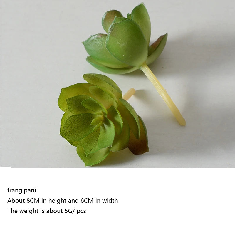 Artificial Succulent Plants - 12pcs Faux Green Bonsai Decor for Home  Garden - ZOOMNSTORE