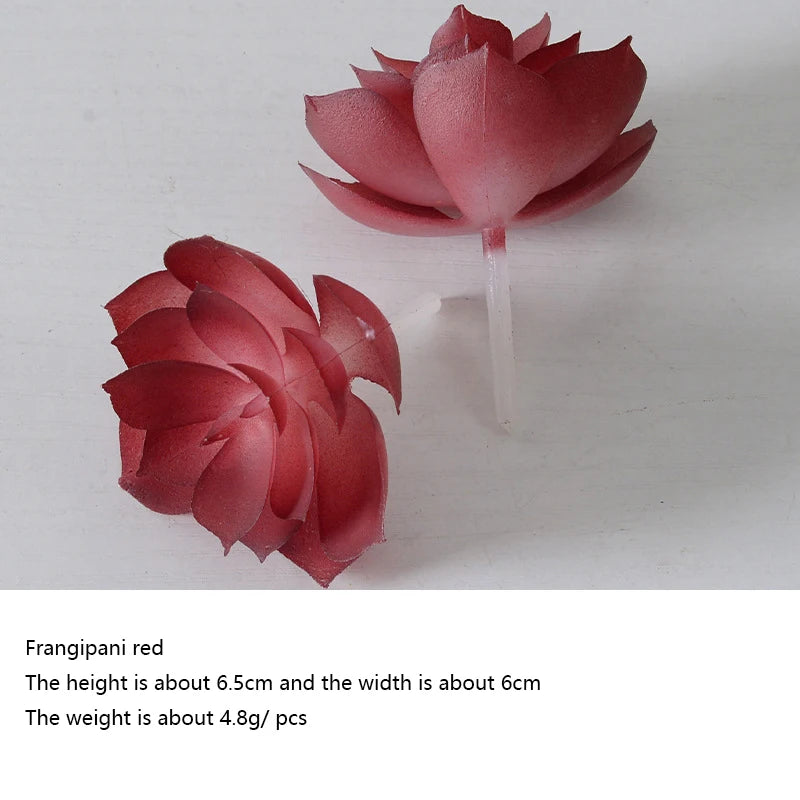 Artificial Succulent Plants - 12pcs Faux Green Bonsai Decor for Home  Garden - ZOOMNSTORE