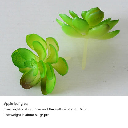 Artificial Succulent Plants - 12pcs Faux Green Bonsai Decor for Home  Garden - ZOOMNSTORE