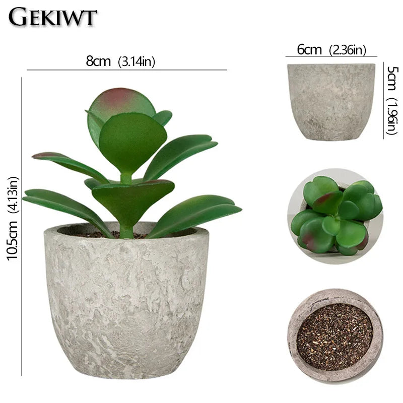 Mini Artificial Succulent Plants - Small Evergreen Pot Decor for Home and Office - ZOOMNSTORE
