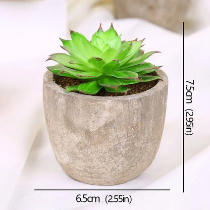 Mini Artificial Succulent Plants - Small Evergreen Pot Decor for Home and Office - ZOOMNSTORE